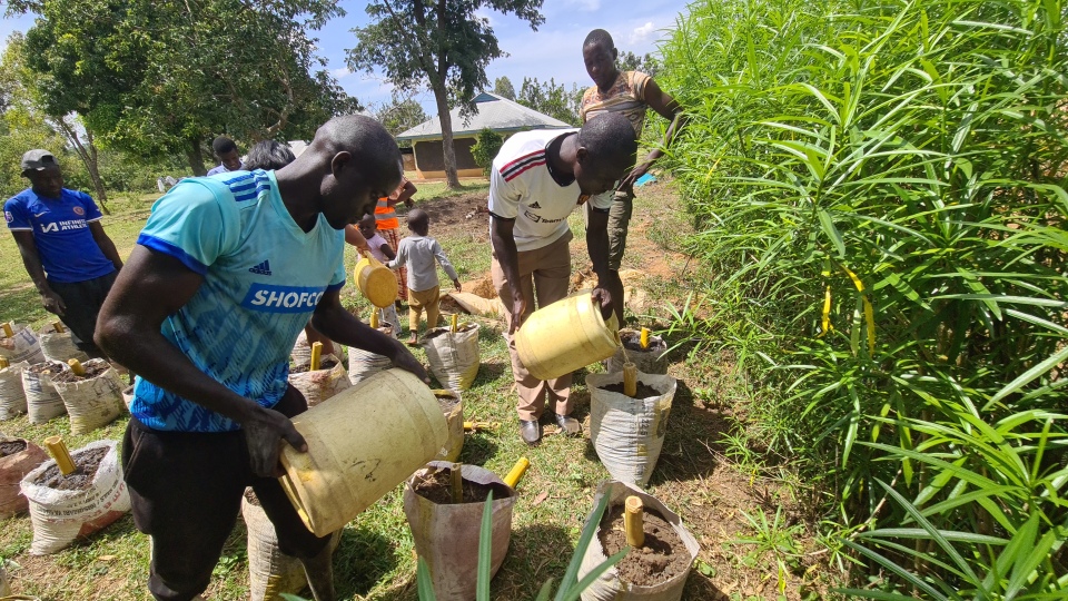 Bamboo planting initiative