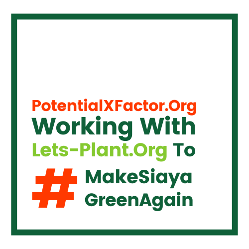 Let's Plant Partnership