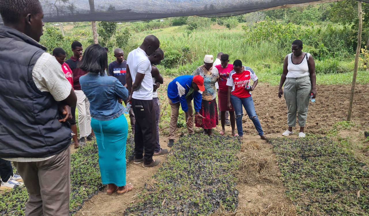 Youth training project